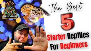 The Top 5 Starter Reptiles For Beginners!