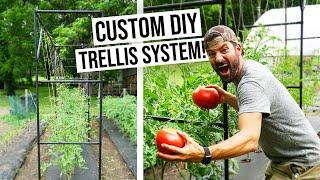 The DIY GARDEN TRELLIS you never knew you NEEDED! TWO LEADER tomato trellising method.