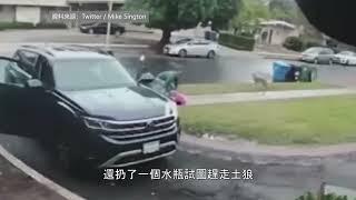 【天下新聞】洛杉磯: 一名2歲女孩家門口遭土狼襲擊 LA: 2-year-old girl was attacked by a coyote outside of her house