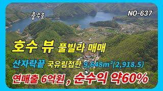 [충주호 조망,국유림 접한 자연속  풀빌라 매매] 연매출6억원,순수익60% 풀빌라펜션 직원3명으로 관리끝   #풀빌라  NO-637