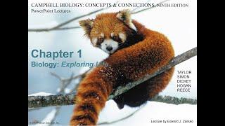 Professor Olufisayo Jejelowo's Biology class for non majors.   Chapter 1  Biology: Exploring Life.