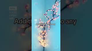 Blossom vibes: aesthetic room with lights & tree #cherryblossom