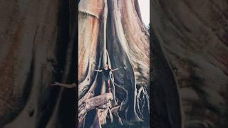 Вселенная внутри тебя 
