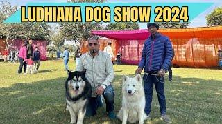 LUDHIANA DOG SHOW 2024 | 100 PLUS DOGS IN SHOW LIKE BELGIAN MALINOIS , DOGO ARGENTINO AND CORGI