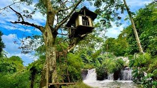 The woman built a house in the trees to avoid wild animals, surviving alone | Part 1