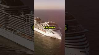 Let’s talk about MSC Cruises…