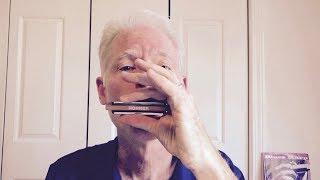 5 cool riffs for beginning blues harmonica players