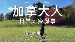 【加拿大突發事】｜加拿大人日常（&）突發事 ｜#多倫多交通 #移民住宿 #居住環境