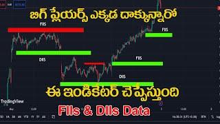 FIIS DIIS అంటే ఎవరు? ట్రేడింగ్ చాట్ లో ఎక్కడ దాక్కున్నారు? ఒక్క ఇండికేటర్ దొంగలు దొరికిపోతారు. TPT