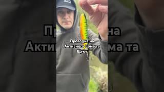 #fishing #спінінг #shortsfishing #рибалка