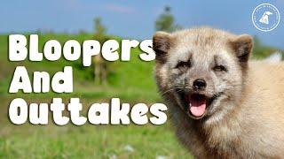 Bloopers and Outtakes | Peak Wildlife Park Diaries