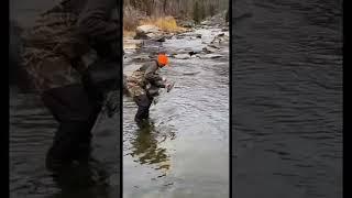 Brown Trout Action with Aaron