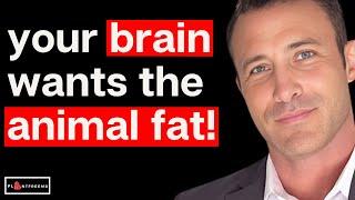  Why Animal Fats Are Crucial For The Human Brain