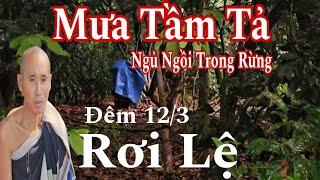 Rơi lệ thương sư Minh Tuệ mưa tầm tả ngồi ngủ gốc cây trong rừng 12/3