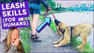 Loose Leash Walking Tips: For the Human (Leash Selection, Handling and Reinforcement Strategies)