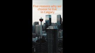 Five reasons why we choose to live in Calgary