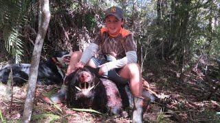 Pig hunting nz 138lb tusky boar