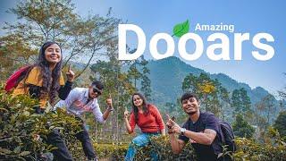 DOOARS - The Most Beautiful  | Dooars Tour | Feet Outside