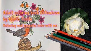 Relaxing and peaceful coloring | Adult coloring book Botanicum by Maria Trolle-Faber-Castell pencils