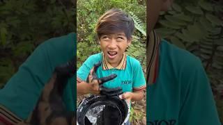 Survival Skills: Simple but Useful in jungle #bushcraft #camping #outdoors #useful #shorts #survival