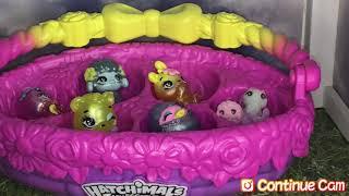 A New Beginning (A Hatchimals Video by Princess.Toy.Nerd)