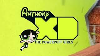 Anthony XD Bumpers - The Powerpuff Girls (2016)