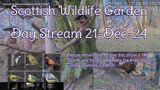 Day Stream December 21st 2024 | Bird Feeders, Wildlife Cameras Scotland UK from SWG