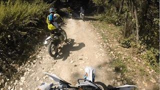 Enduro VS Downhill || Ktm exc 300/Husqvarna te 250/Husqvarna wr 125/specialized