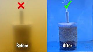 DIY Fish Tank Filter / How to make aquarium filter at home