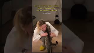 Так бывает #котики #кот #животные #любовь #любовьвсегдапобеждает
