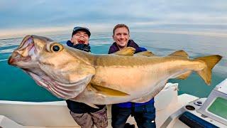 POISSON RECORD du grand large, je traque un lieu jaune géant et ça devient violent !!