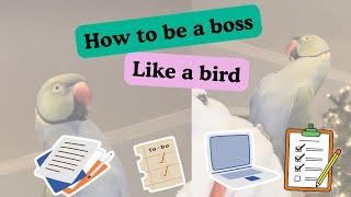 How to be a good boss!