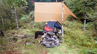 Camping in Rain with my Dog in Ultralight Tent