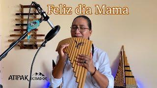 Señora Señora - Denise de Kalafe/Cover /Pan Flute/Atipak Luis