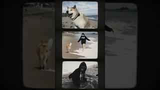 My favorite camera is…