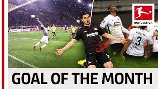 Top 10 Goals November - Vote for the Goal of the Month