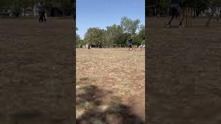 #cricket # upper cut # shot