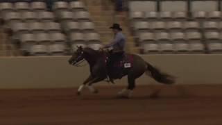 161001 David Messer on Bringinghomethepesos Open Derby