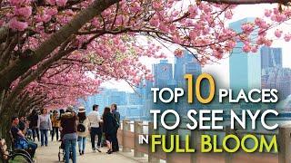 Top 10 Places To See NYC in FULL BLOOM