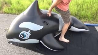 Over Inflating and Riding a Reinforced Intex Whale