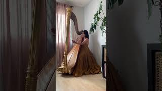 Howl’s Moving Castle/Merry Go Round of Life (harp)- kim.harpist
