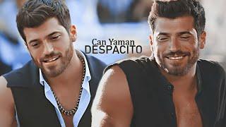 Can Yaman  Despacito [Ozgur Atasoy]