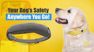 Introducing The ALL-NEW HALO COLLAR 4: The Ultimate GPS Dog Fence For Dog Safety