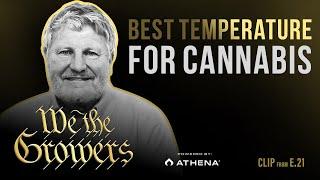 What Is The Best Temperature For Growing Cannabis?