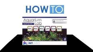 How to Test Your Aquarium Water