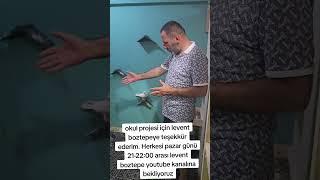 Levent Boztepe YouTube kanalında pazar günü 21 00  22 00 YouTube kanalında Herkesi bekliyoruz