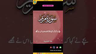 Baby Jesus Spoke  | Divine Proof In Surah Maryam 