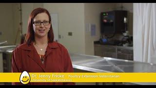 University of Saskatchewan: Poultry Science