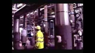 BBC Short Circuit Ammonia