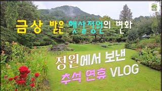 금상 받은 '햇살정원'의 변화! 정원에서 보낸 추석연휴